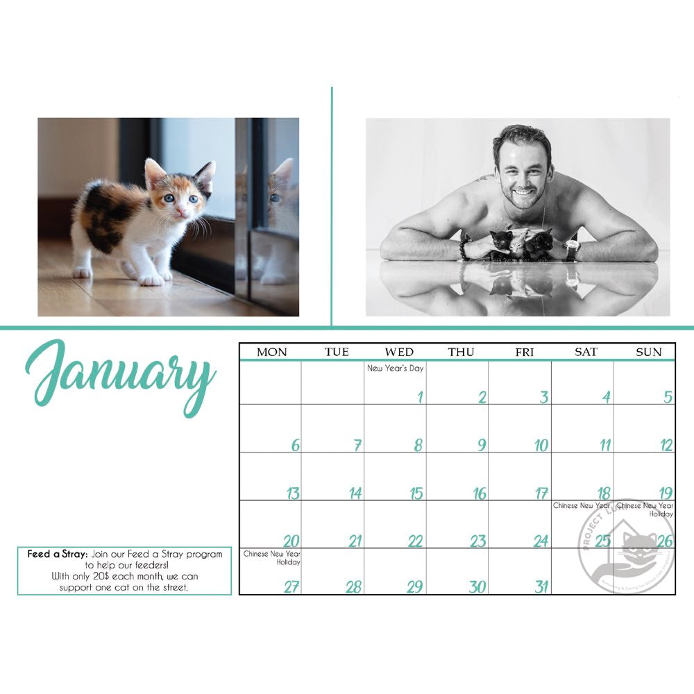 Project Luni Kitten Calendar 2020