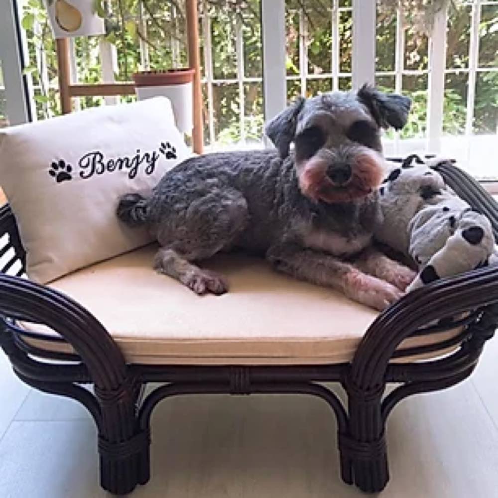 Furnish Kitkat Dog Bed (Coffee Brown BL)