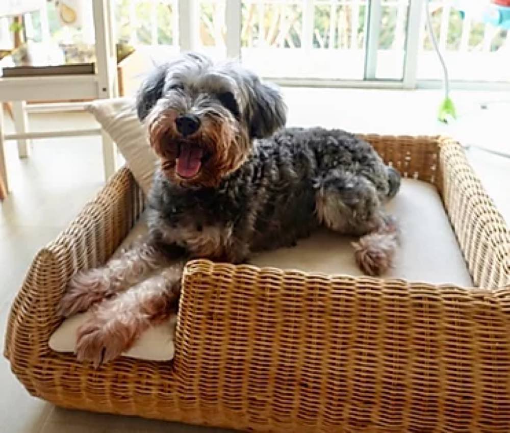 Furnish Shortbread Dog Bed (Natural Willow)