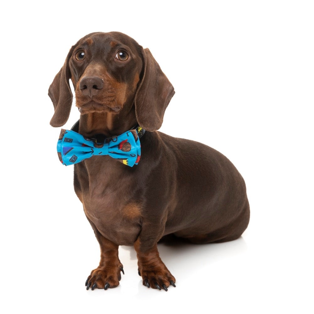 FuzzYard Pet Bow Tie (Kings of Gold School)