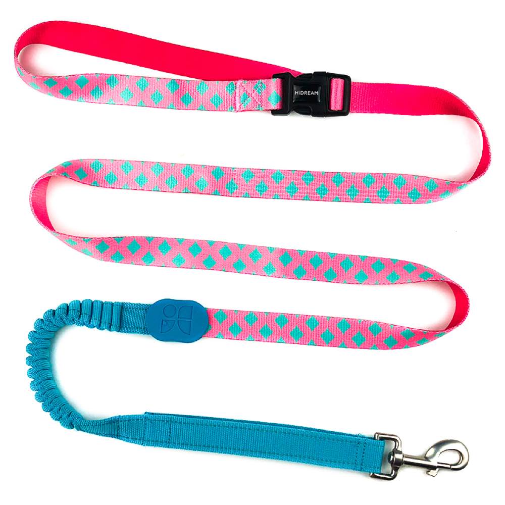 HiDREAM Profusion Multifunctional Dog Leash (Bobby)